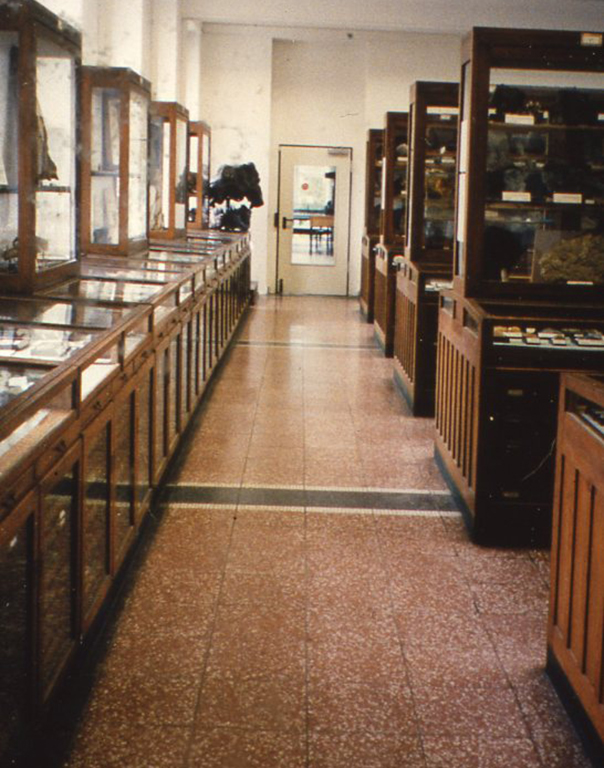 ドイツ・ボンの博物館は、昔（健二が小学ー中学生の時に通っていた頃）の上野にある国立科学博物館の鉱物標本展示室にどこか似ている、と話す。 