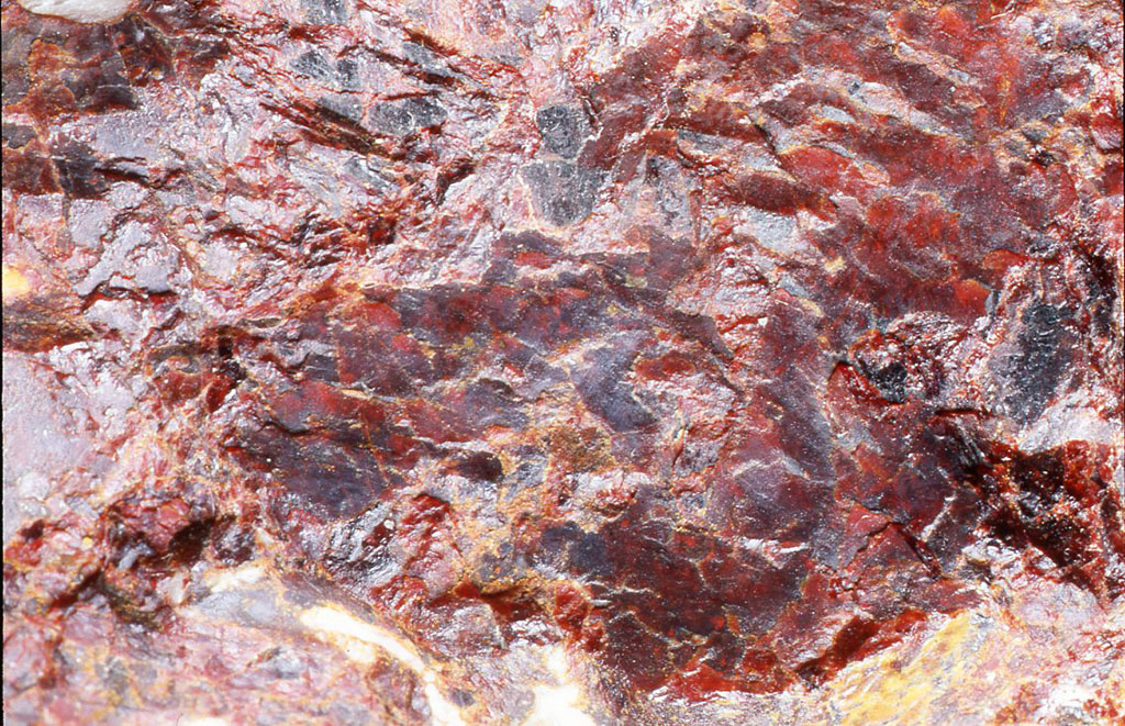 ジンサイト（紅亜鉛鉱）。アメリカのニュージヤージー州にあるフランクリン鉱山以外にはほとんど産出されない珍しい鉱物で、赤色部分。マンガンが含まれているためこの色になる。 